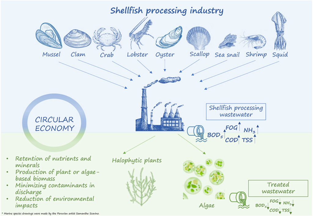 New Publication by University College Cork – Shellfish processing wastewater: characterization of a group of wastewater resources for future valorisation